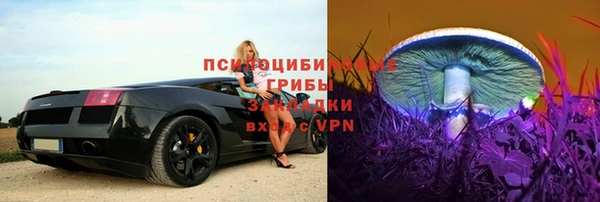 2c-b Бронницы