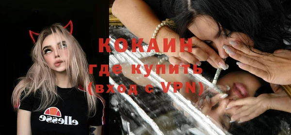 mix Бородино