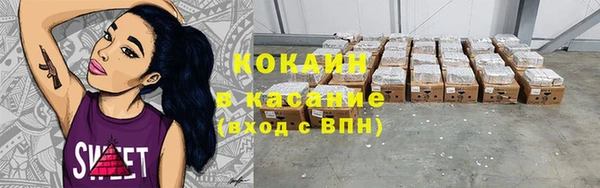mix Бородино
